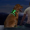 Rechargeable LED Dog Harness with Reflective Strips