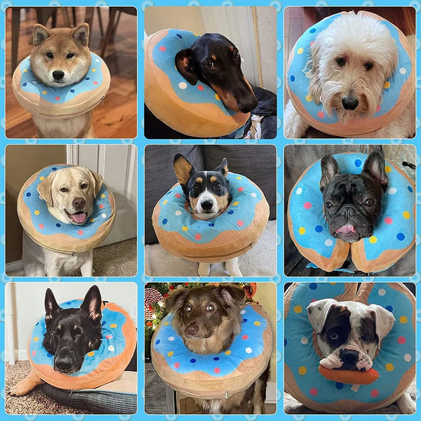 A collection of dogs wearing inflatable recovery collars in various colors and breeds.
