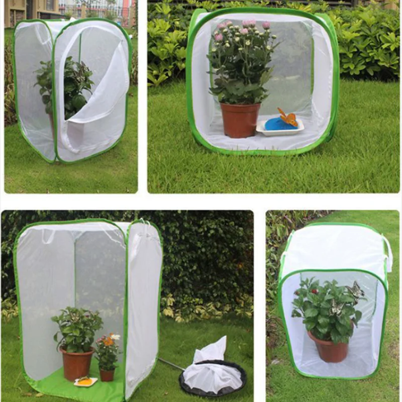 Collapsible mesh insect breeding cages in green and white plastic, some containing plants.