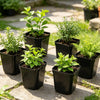 Mini Square Plastic Plant Pots with Drainage Holes for Seed Starting