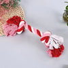 Molar Bite-Resistant Cotton Rope Dog Toy