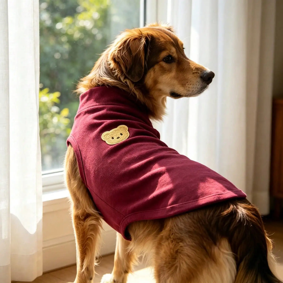 A golden retriever wearing a maroon cozy turtleneck dog vest with a tan bear patch, sitting indoors.