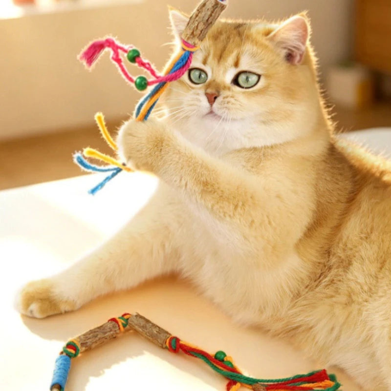 Robbes Knotenseil-Spielzeug für Hunde & Katzen