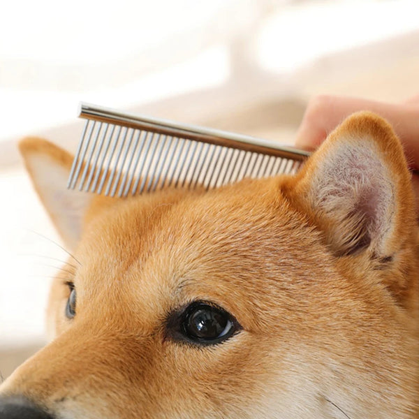 A close-up of a dog's ear being groomed with a stainless steel pet dematting comb.