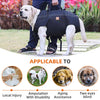 Großer Hundetrage-Rucksack