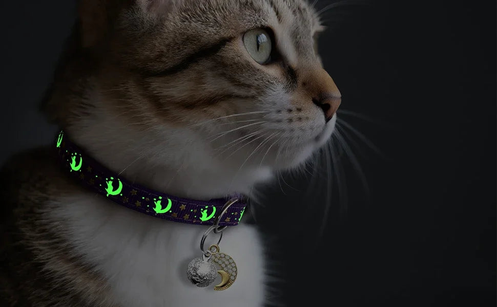 A tabby cat wearing a glow-in-the-dark collar with a moon pendant and bell against a dark background.