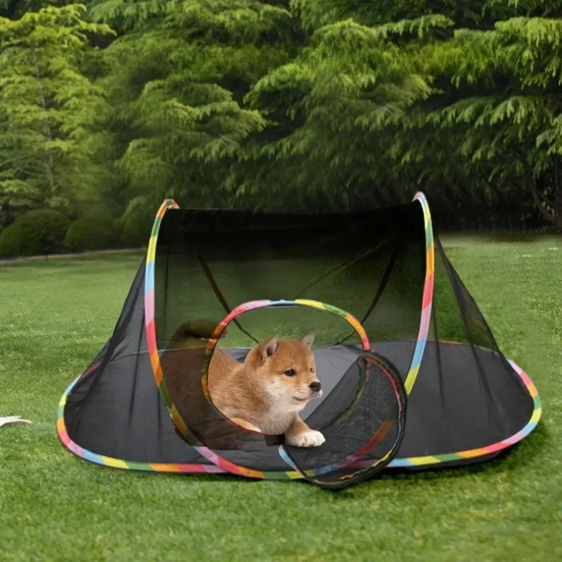 A multi-shape cat tunnel playhouse with balls is laid out on green grass in front of a lush green forest background.