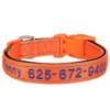 Personalisierte bestickte Nylon-Hundehalsband