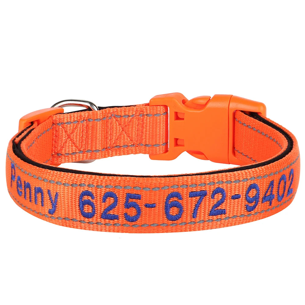Collier en nylon orange pour chien avec texte brodé bleu indiquant nom et numéro de téléphone