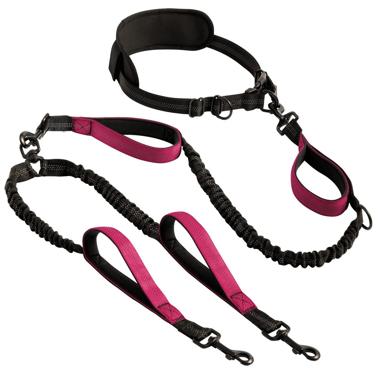Hands-Free Double Dog Leash for Two Dogs – Padded Handles & Reflective Stitching for Medium and Large Breeds