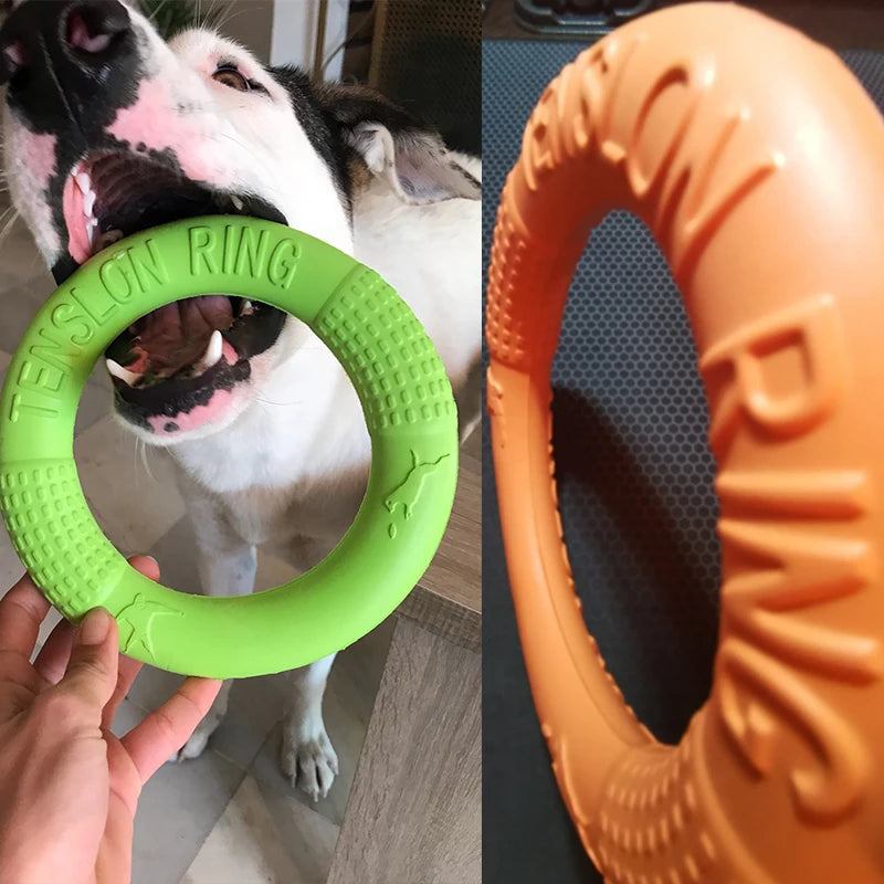 Anneau d'entraînement et disque volant en caoutchouc durable pour chien