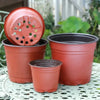 Plastic Plant Nursery Pots with Drainage Holes (Set of 10)