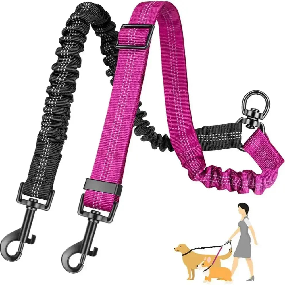 Dual Dog Leash with Shock-Absorbing Bungee (16 ft)