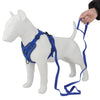 A white dog harness and leash set is being held by a hand.