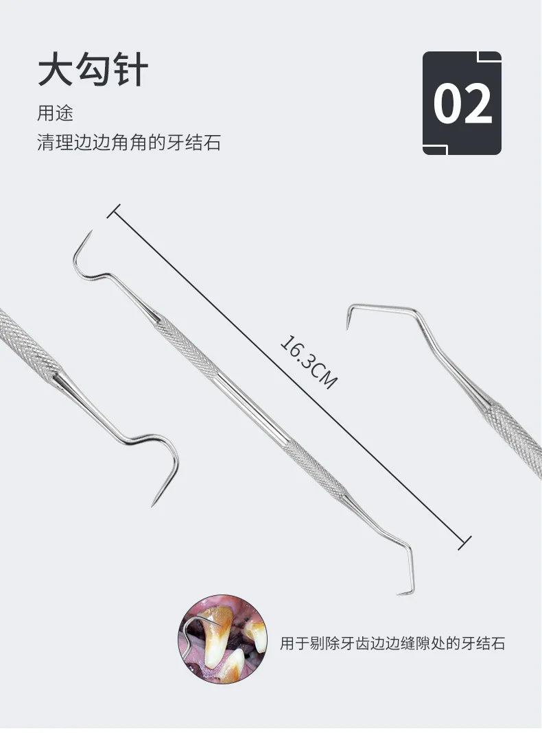 Stainless steel dog tooth cleaner set showing a dental tool and a magnified view of the teeth
