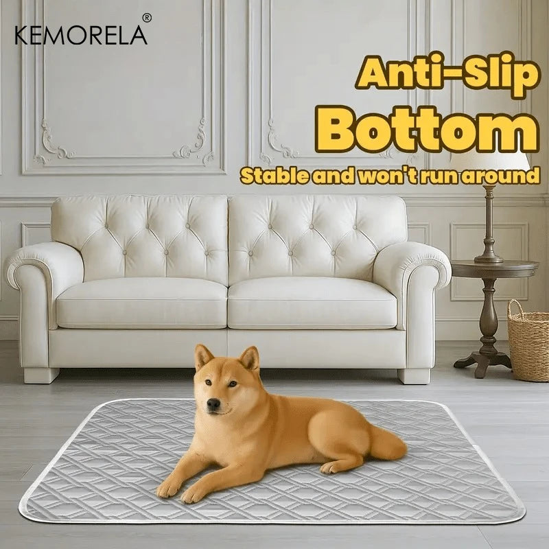 Un chien doré repose sur un tapis d'entraînement anti-dérapant blanc posé sur un plancher en bois clair.