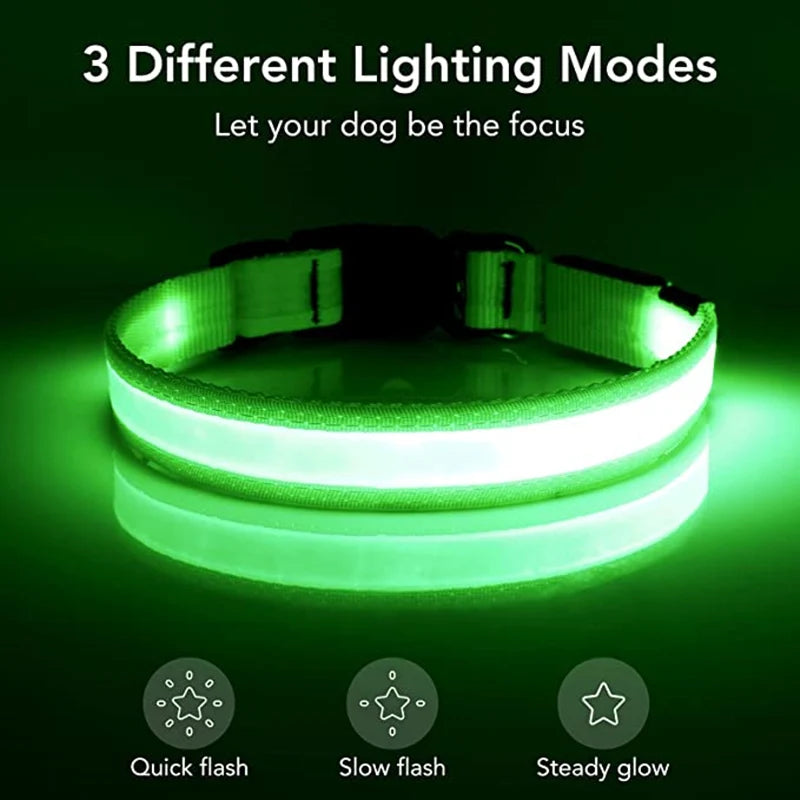 A glowing green LED dog collar demonstrating three lighting modes: quick flash, slow flash, and steady glow.