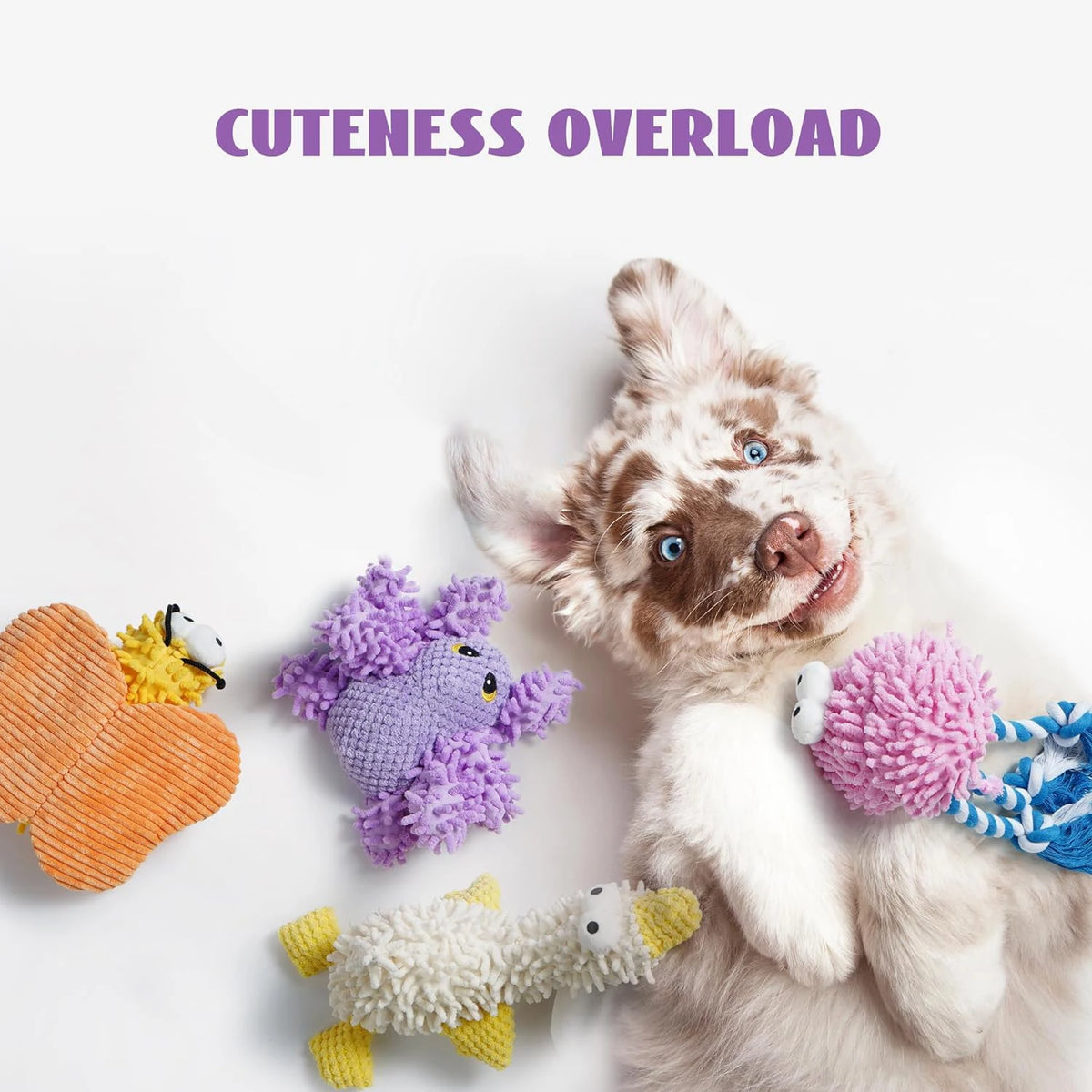 A fluffy dog toy is shown next to a puppy, featuring purple and yellow crinkle texture toys.