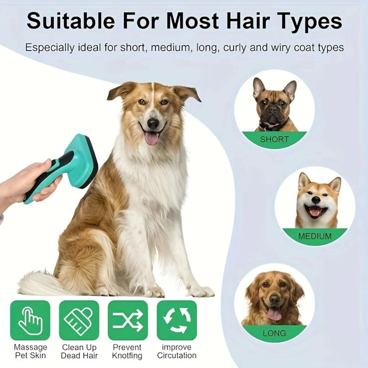 Une brosse plus lisse est montrée à côté d'un chien, démontrant son utilisation pour toilettage de différents types de pelage