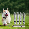 A fluffy white dog is running next to an adjustable stainless steel dog whistle.