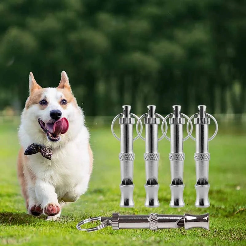 A fluffy white dog is running next to an adjustable stainless steel dog whistle.