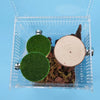 Magnetic Spider Hide Cave for Jumping Spider Enclosures