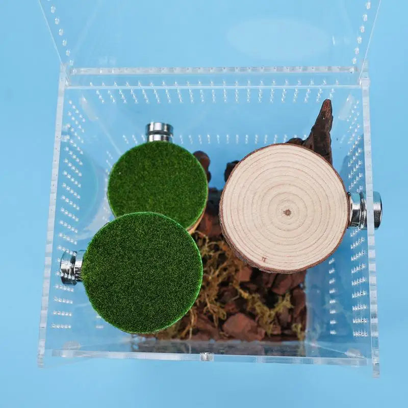Magnetic Spider Hide Cave for Jumping Spider Enclosures