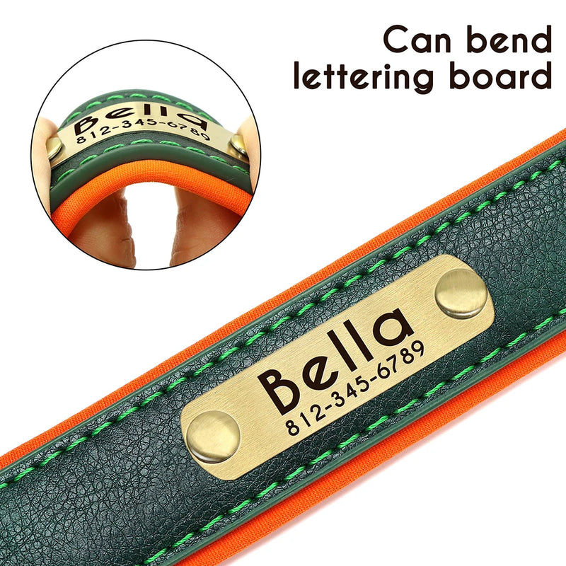 Personalisierte gepolsterte Leder-Hundehalsband mit graviertem Namensschild