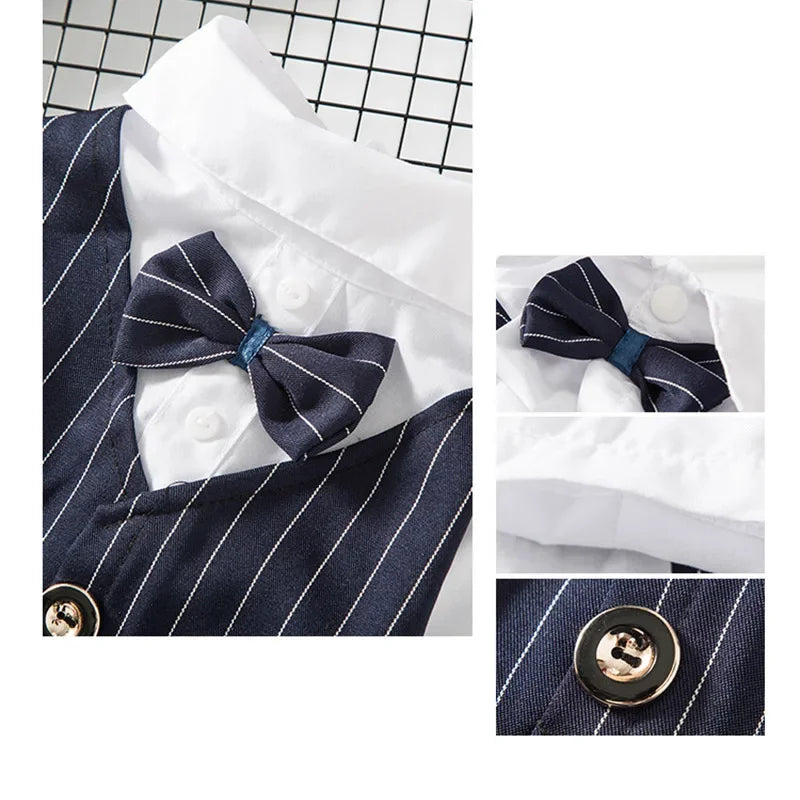 Navy blue striped tuxedo collar and bow tie for a dog or cat