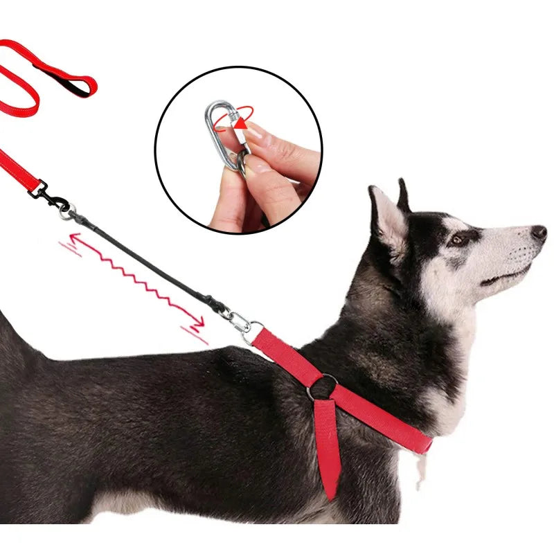 45cm Nylon Dog Leash Extender with Quick-Release Buckle