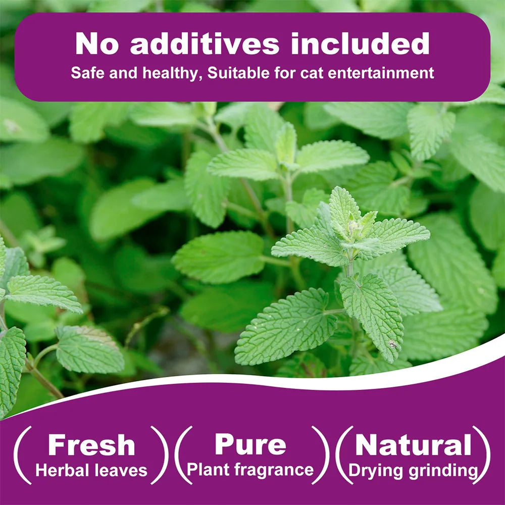Fresh herbal leaves used for cat entertainment and natural plant fragrance