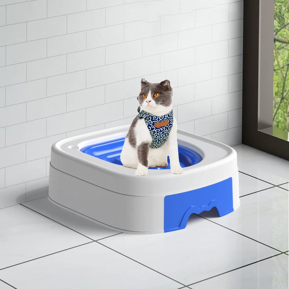 Eine graue und weiße Katze sitzt in einer weißen Plastikstreubox zum Toilettraining.