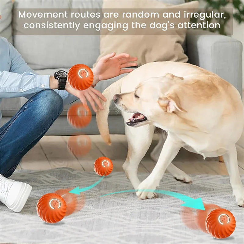 Intelligenter Smart-Ball für Hunde mit zufälliger Bewegung