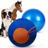 Interactive Large Dog Ball with Wrist Strap