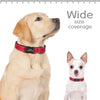 Reflektierendes personalisiertes Hundehalsband mit graviertem Anhänger