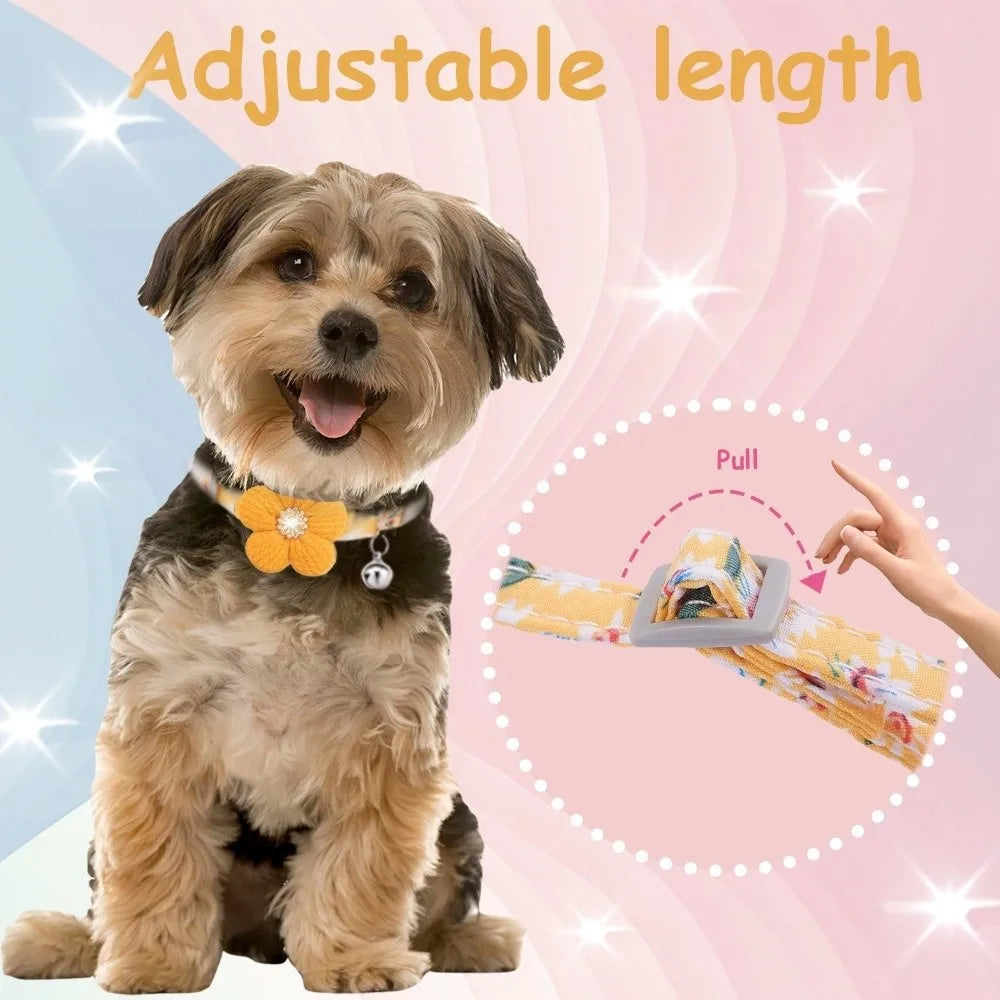 A golden-colored dog is wearing an adjustable floral collar with a rhinestone bell.