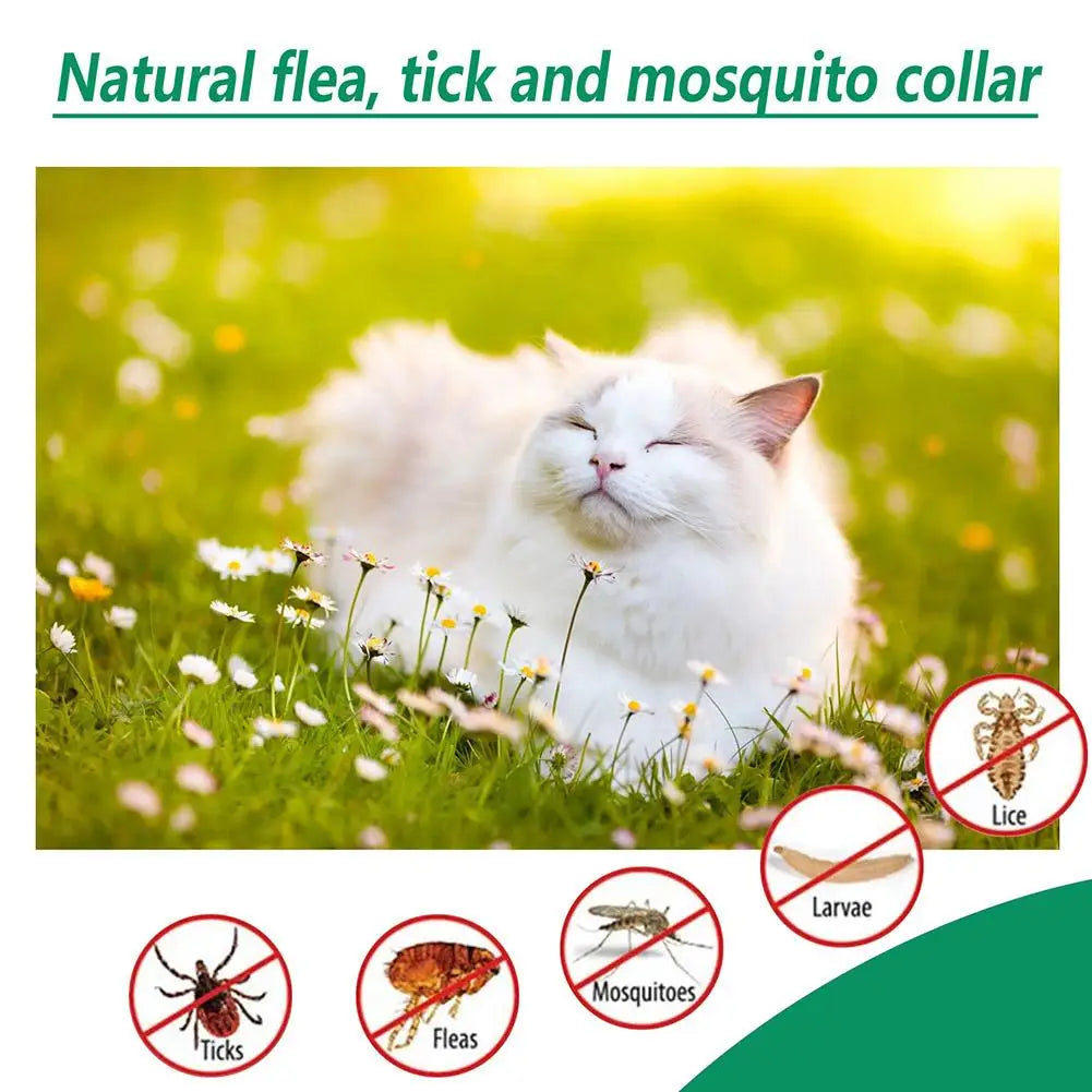 Gato blanco acostado en un campo verde de flores, con iconos que muestran protección contra piojos, garrapatas, pulgas y mosq