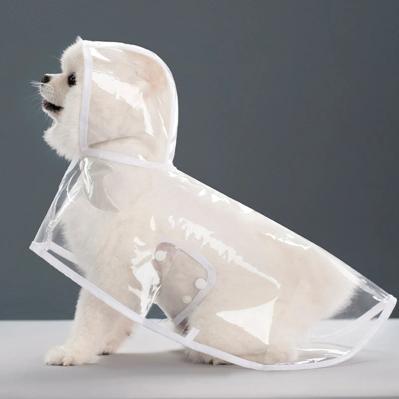 A white dog wearing a transparent plastic raincoat with a hood, shown in a profile view.