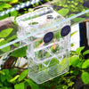 Cage d'isolement pour reproduction en aquarium