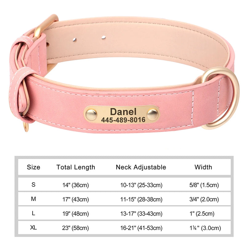 Personalisiertes Leder-Hundehalsband mit graviertem ID-Tag