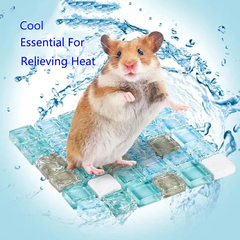 A fluffy brown and white guinea pig sits on a blue cooling mat surrounded by water droplets.