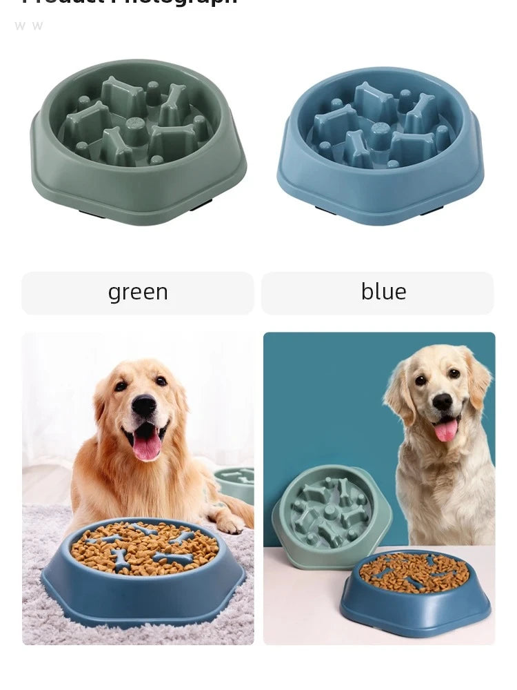 Bol anti-avalage pour chien