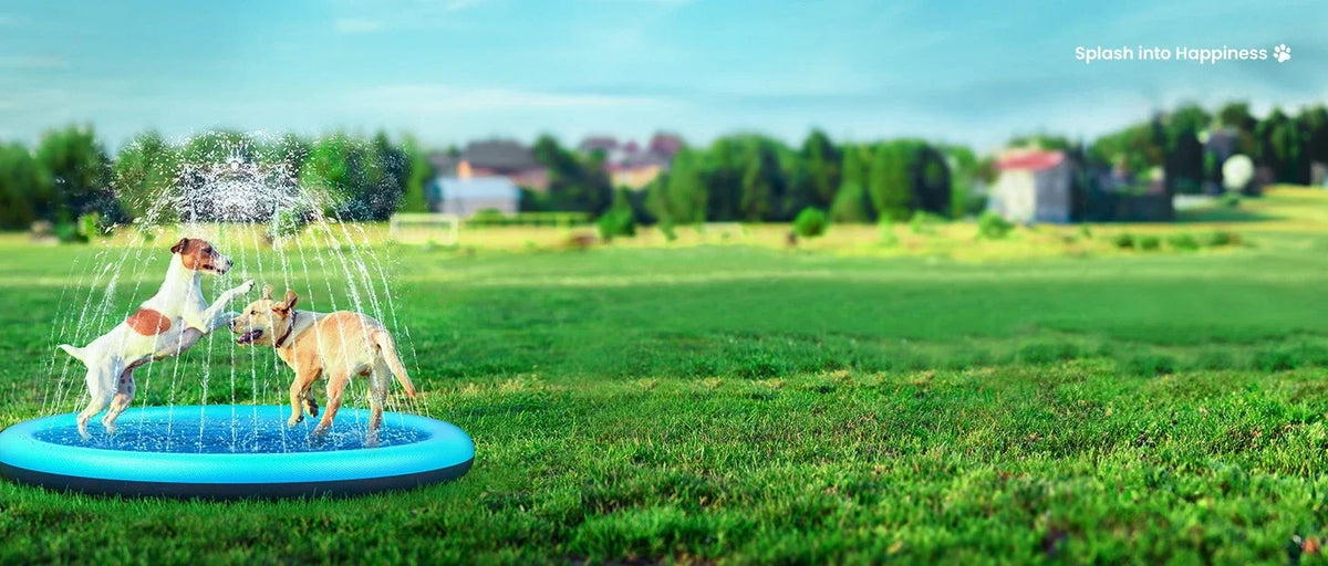 Anti-Slip Dog Splash Pad with Sprinkler for Summer Water Play