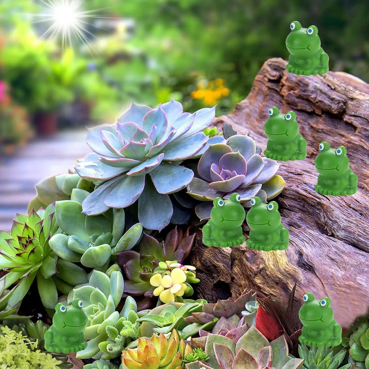 Mini Resin Frog Figurines for Fairy Garden & Terrarium Decor
