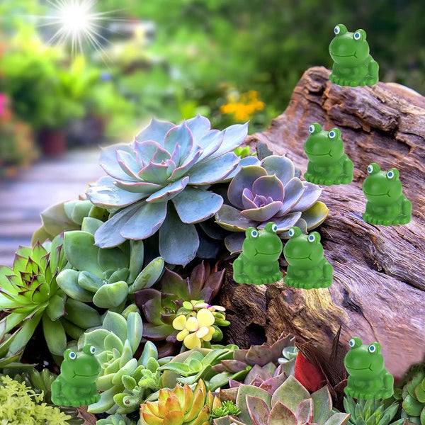 Mini Resin Frog Figurines for Fairy Garden & Terrarium Decor