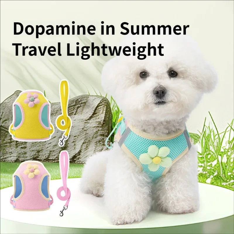 A fluffy white dog wearing a light blue harness with a leash, set against a green background.