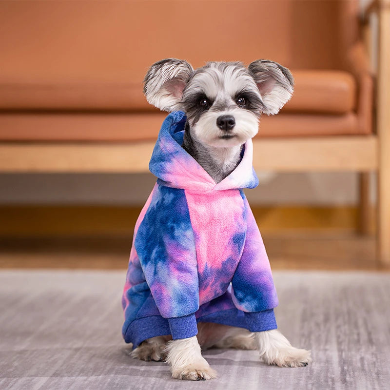Un petit chien portant un sweat à capuche en polaire tie-dye rose et bleu.