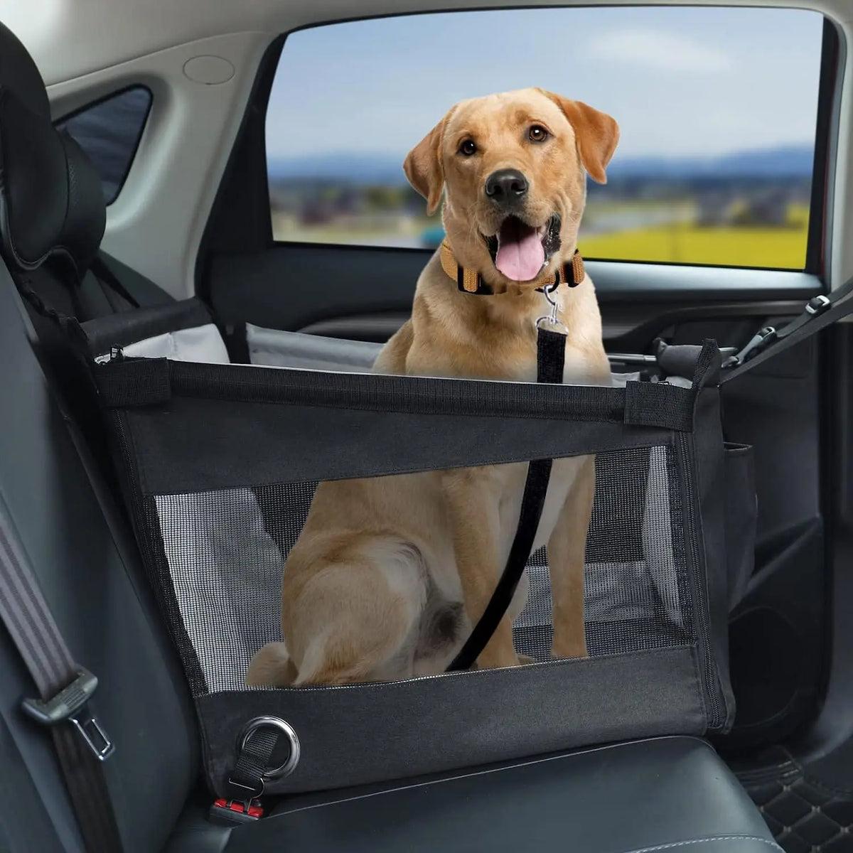 Un golden retriever est assis dans un transporteur portable étanche noir, fixé sur le siège arrière d'une voiture.