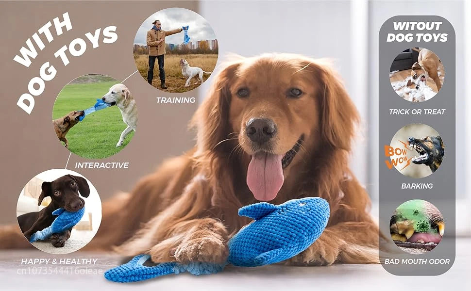A golden retriever dog lying down with a blue plush shark chew toy for dogs