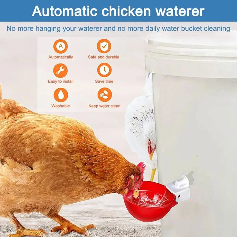 Automatic Chicken Waterer Cups - 4 Pack